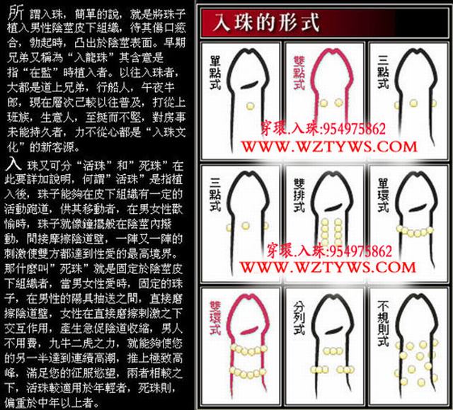 入珠
