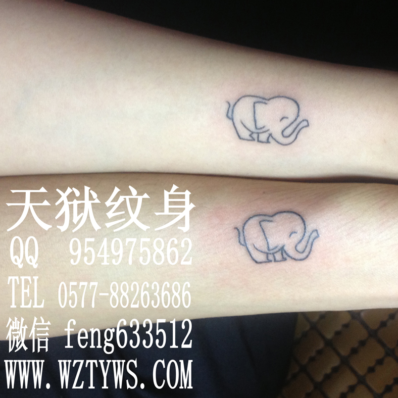 温州天狱纹身，大象纹身，113