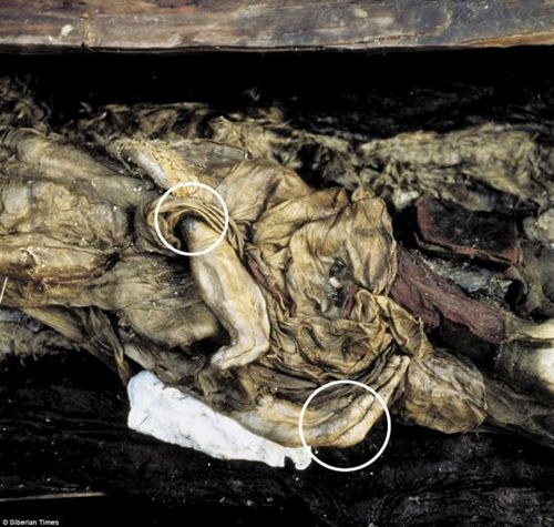 乌科克公主的手腕上纹有纹身。19年前，科学家将她的遗骸从永冻土中挖出。据悉，乌科克公主将在阿尔泰对外展出