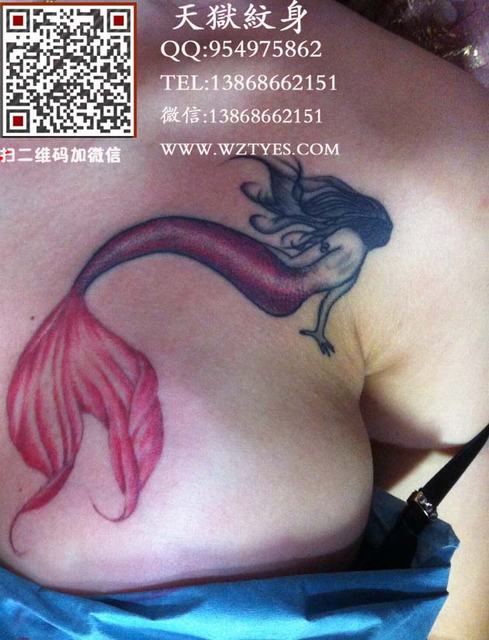美人鱼   美胸